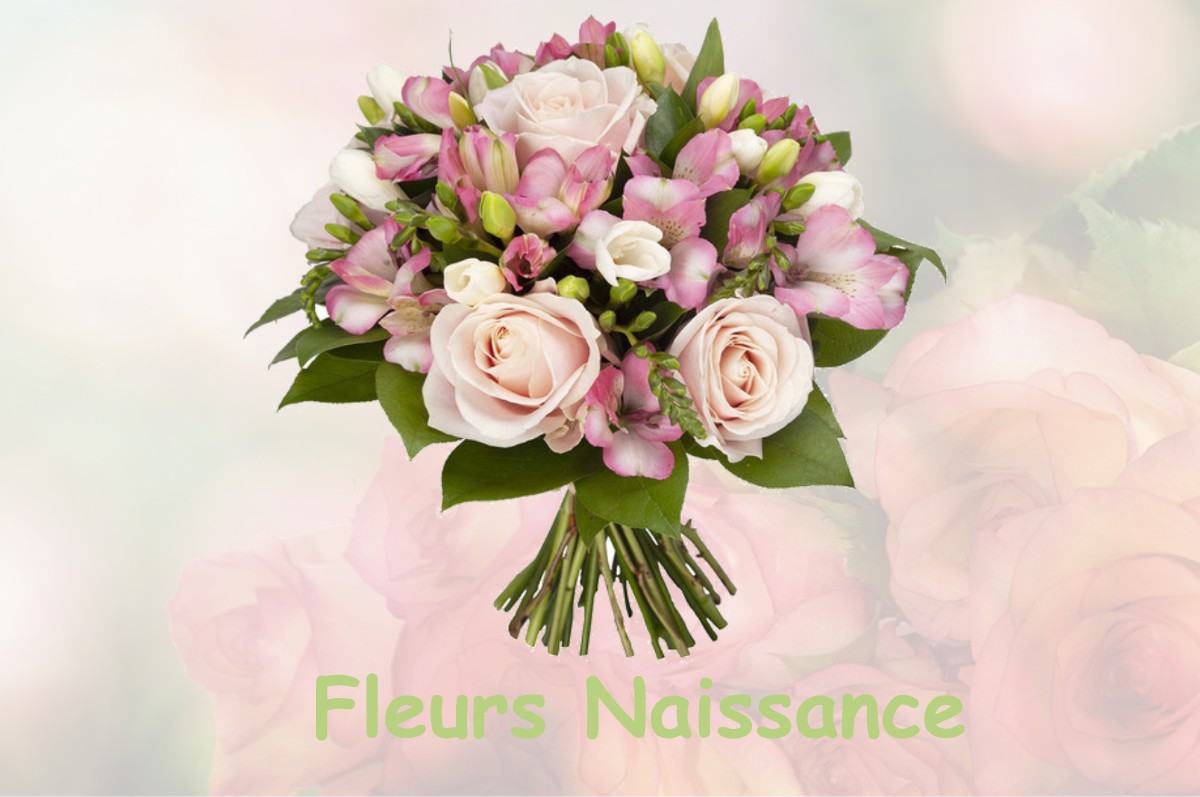 fleurs naissance CHAPAREILLAN