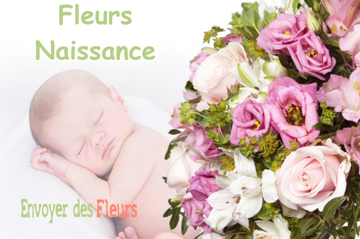 lIVRAISON FLEURS NAISSANCE à CHAPAREILLAN